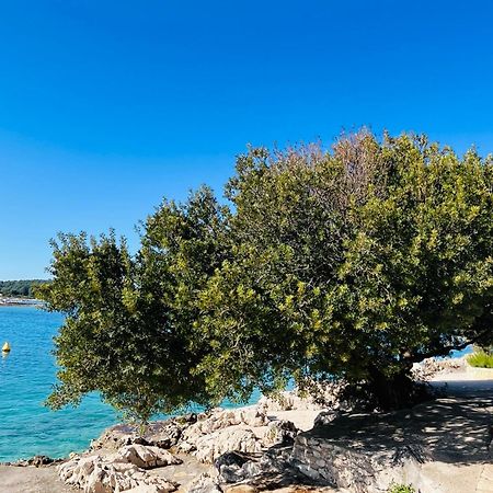 Apartmani Mate Rogoznica  Esterno foto